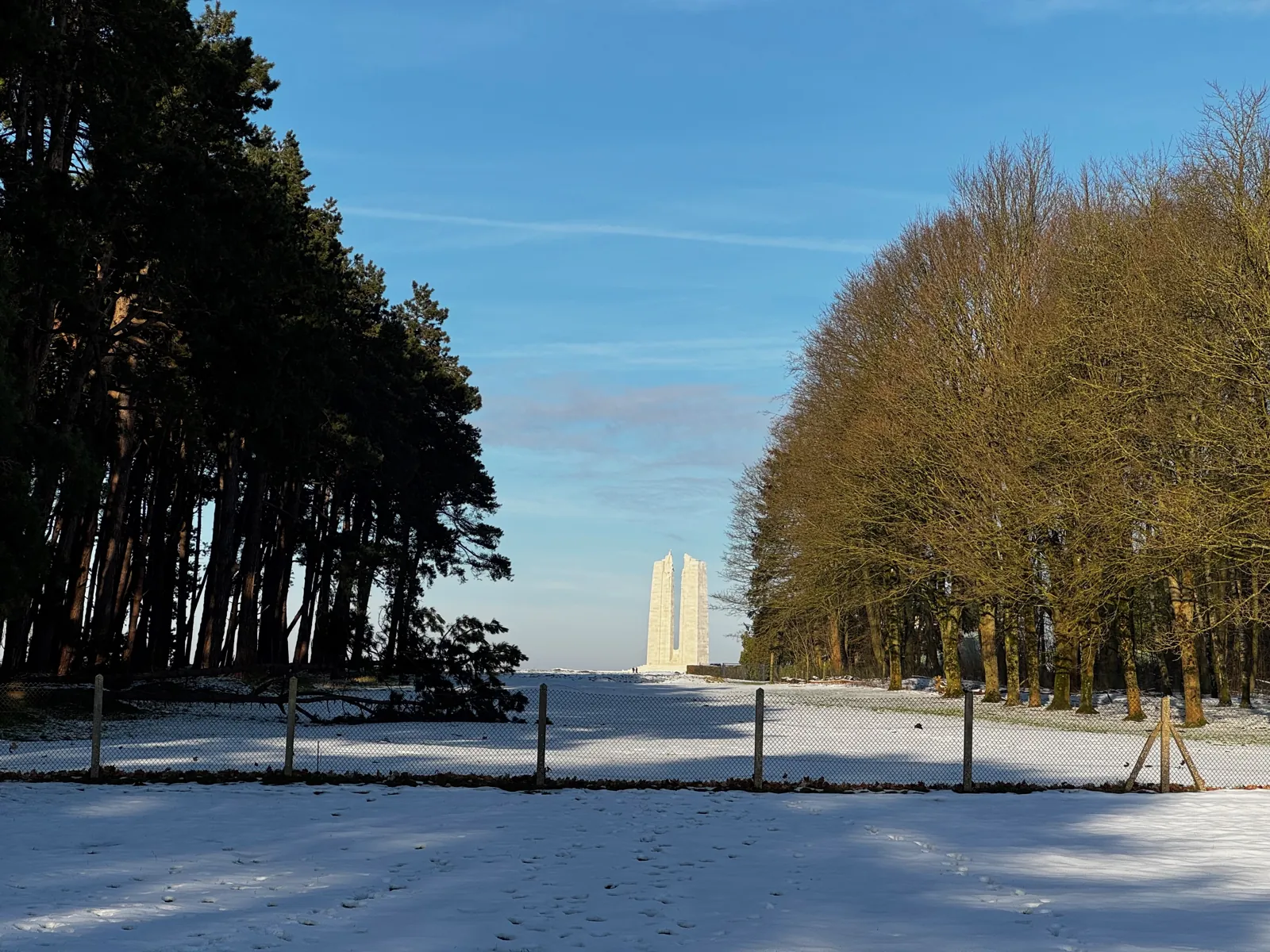 Les pylônes de Vimy aperçus au bout d'une allée de pins